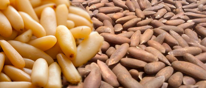 Pina Nuts